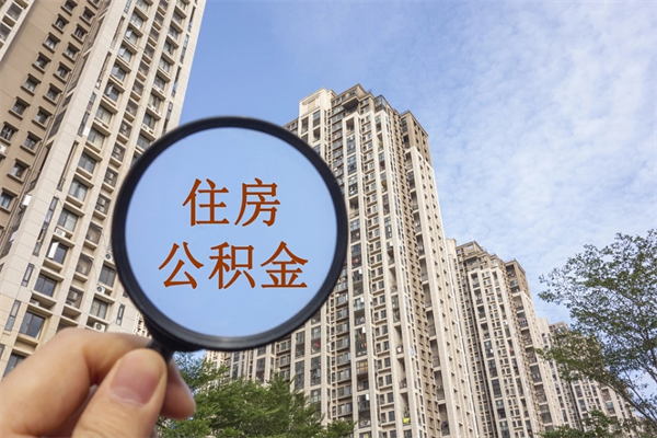 沧县代理提取公积金（沧县代理提取公积金可靠吗）